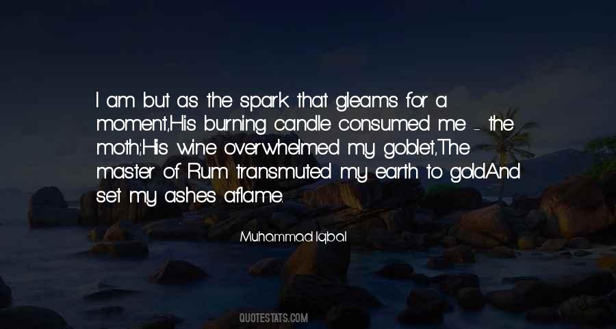 Aflame Quotes #1458202