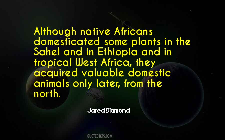 Africans'i Quotes #258174
