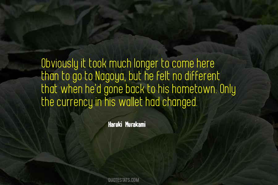 Quotes About Going Back To Hometown #1174913