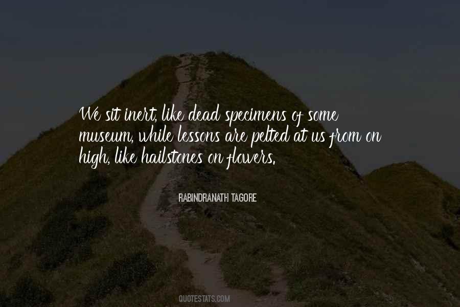 Quotes About Going To A Museum #18352