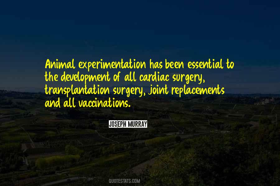 Quotes About Experimentation #333075