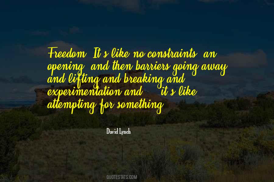Quotes About Experimentation #475137