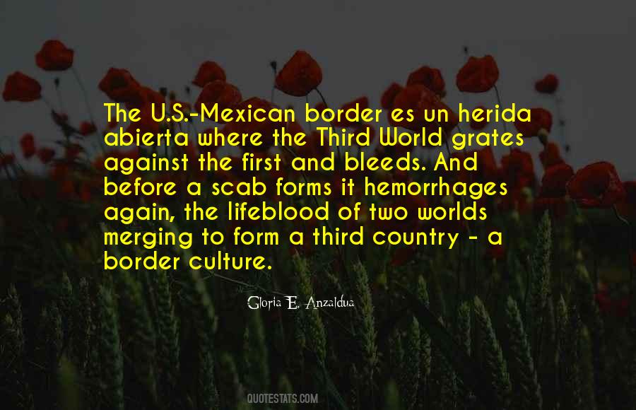 Quotes About Mexican Border #1276778