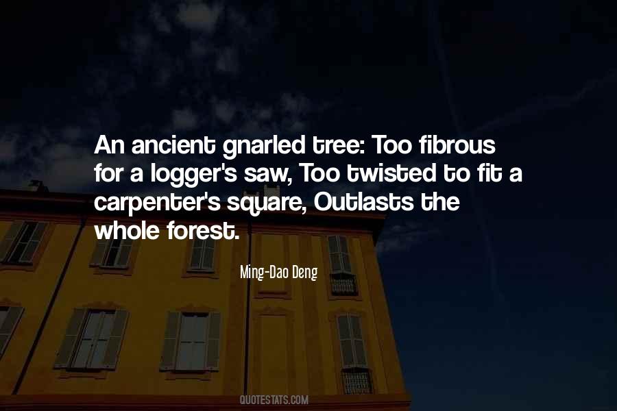 Altlantic Quotes #853818