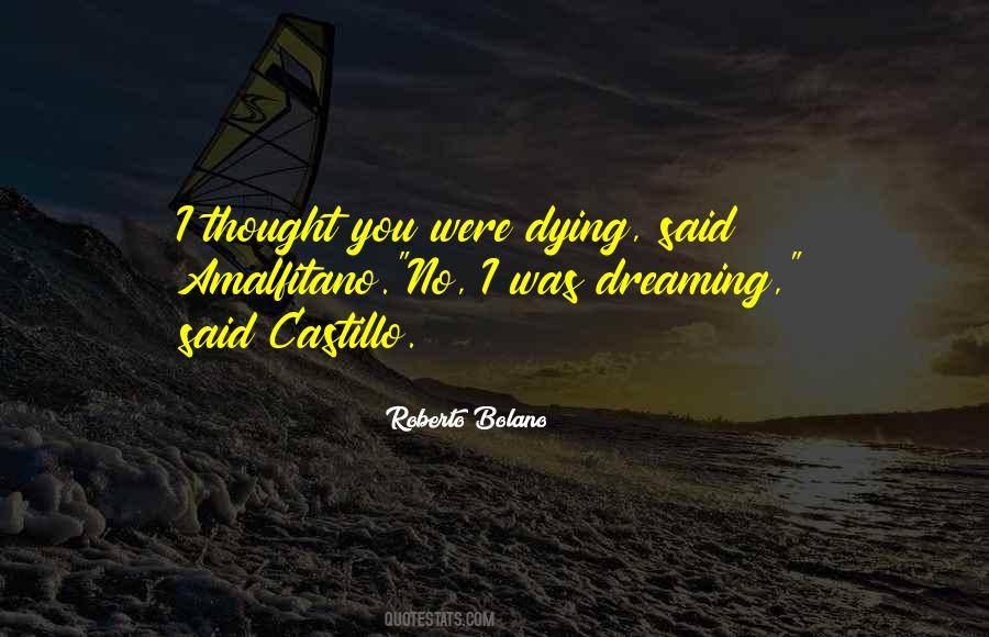 Amalfitano Quotes #1705638