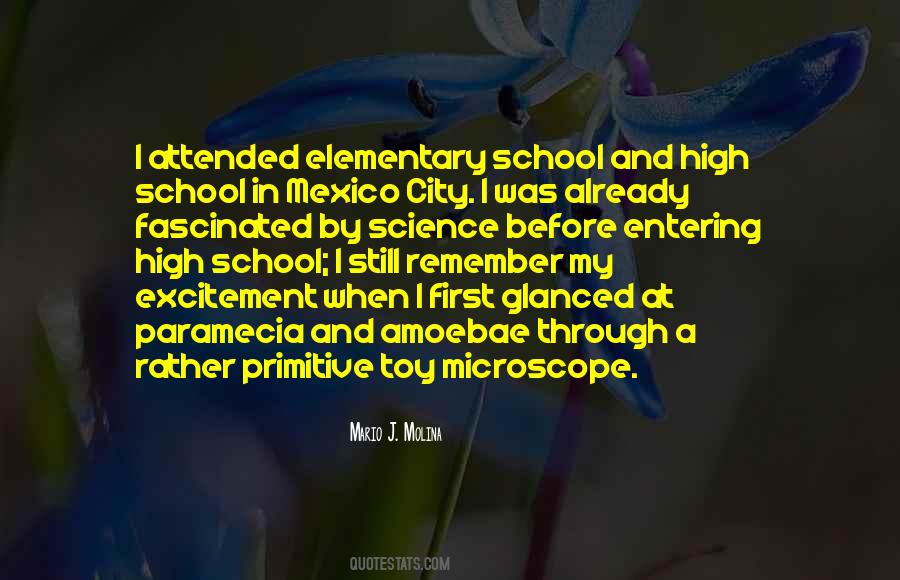 Quotes About Elementary School #1211599