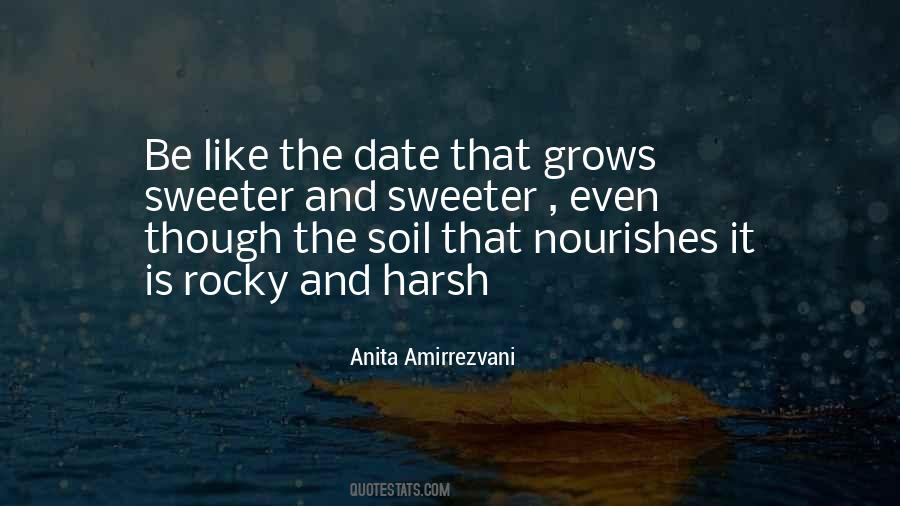 Amirrezvani Quotes #1315721