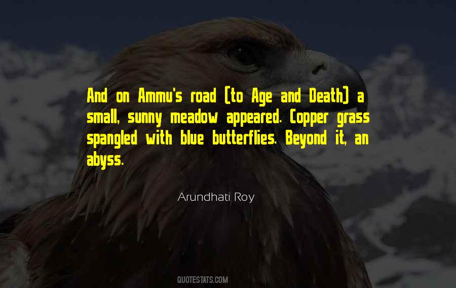 Ammu's Quotes #121686
