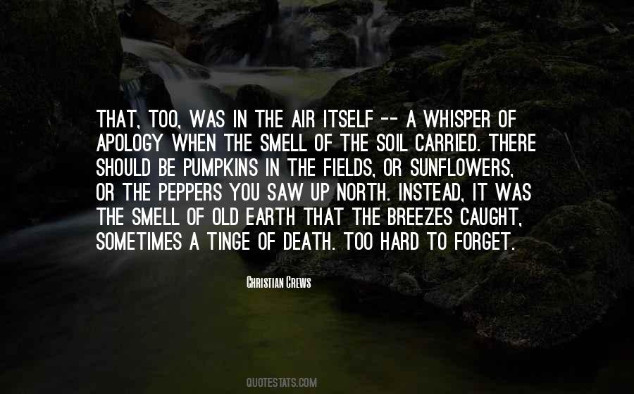 Amplitudes Quotes #187875
