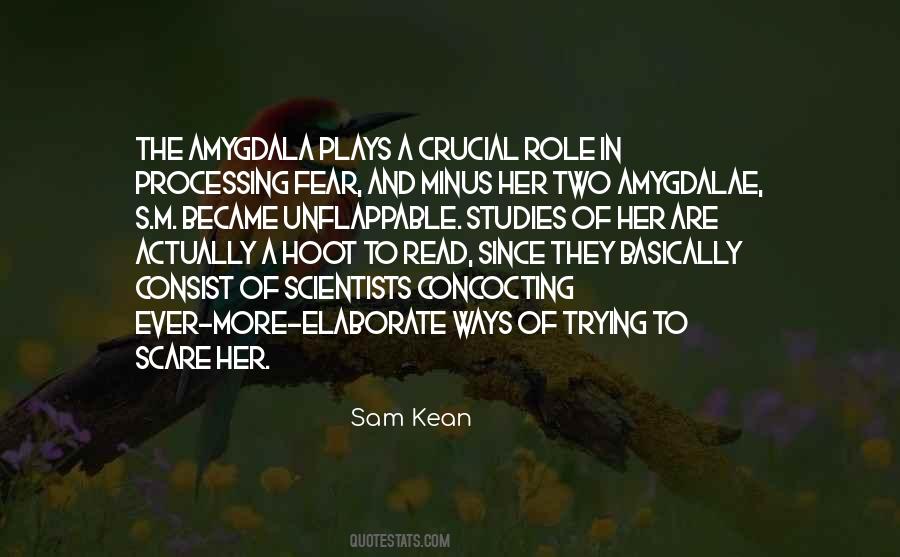 Amygdalae Quotes #346006