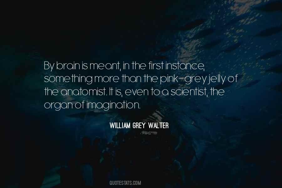 Anatomist Quotes #141436