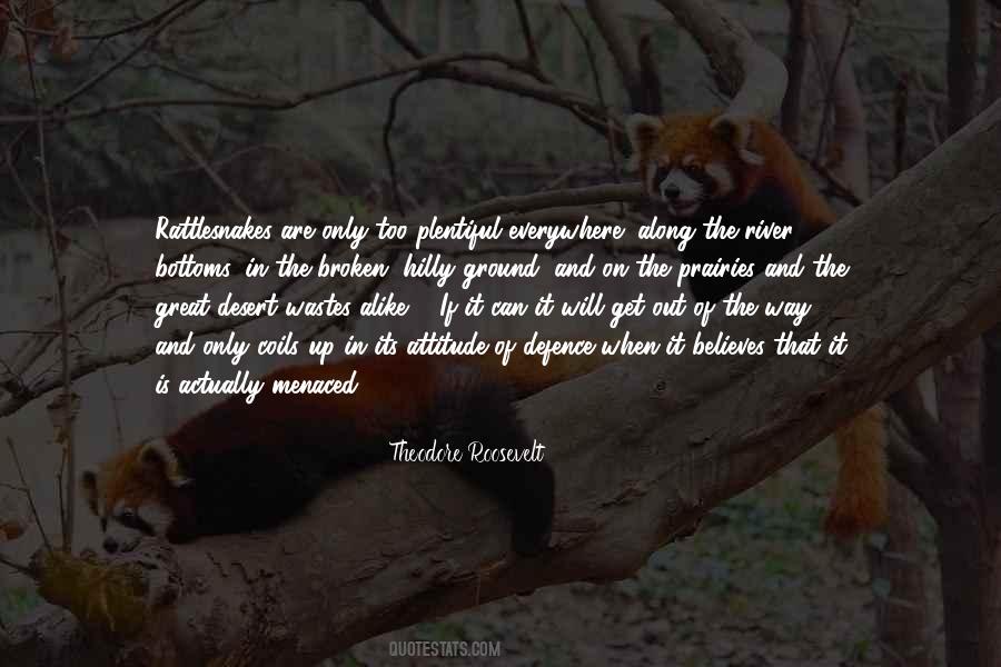 Annr Quotes #371926