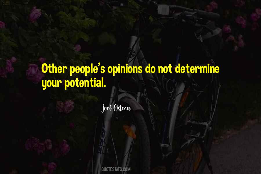 Anser Quotes #1478112