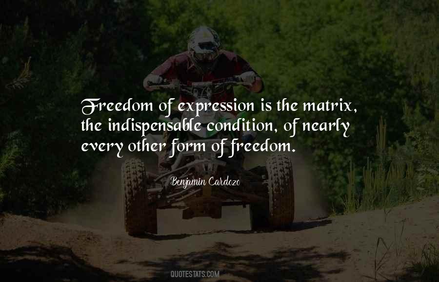 Quotes About Freedom Of Expression #156919