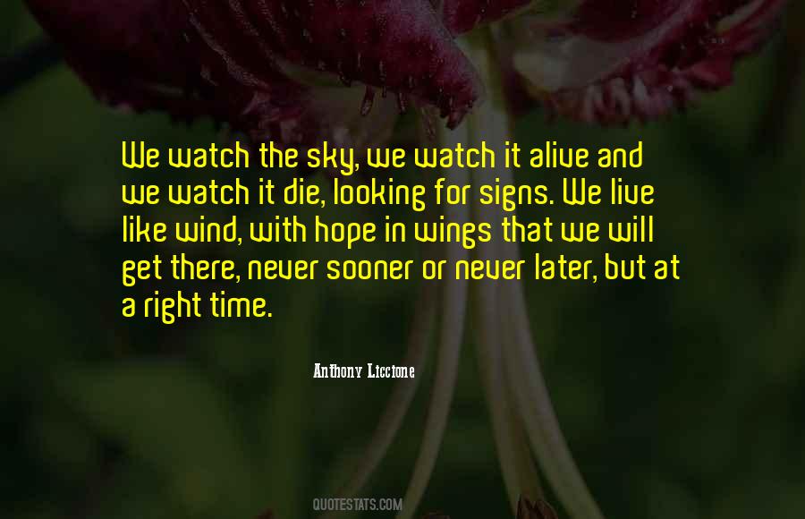 Quotes About Hope And Wings #1416421