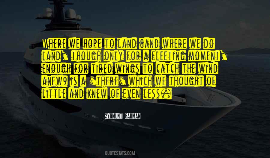 Quotes About Hope And Wings #233047