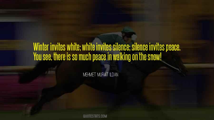 Antipiracy Quotes #1878858