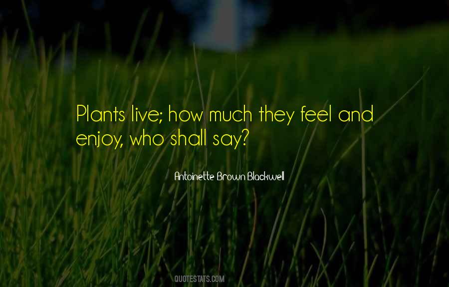 Antoinette's Quotes #417743