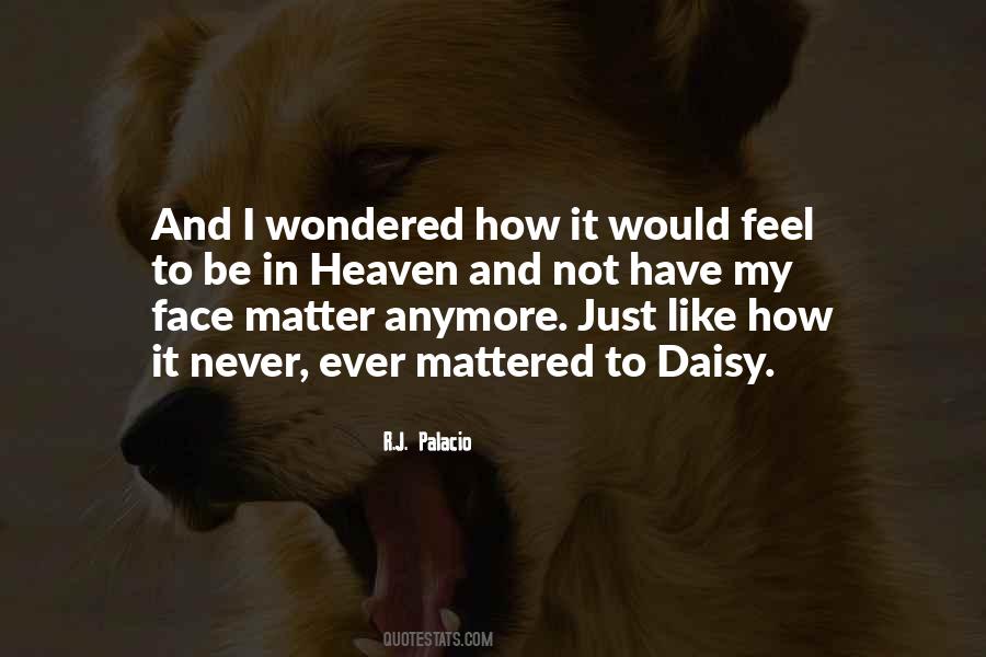 Apodictic Quotes #1875071