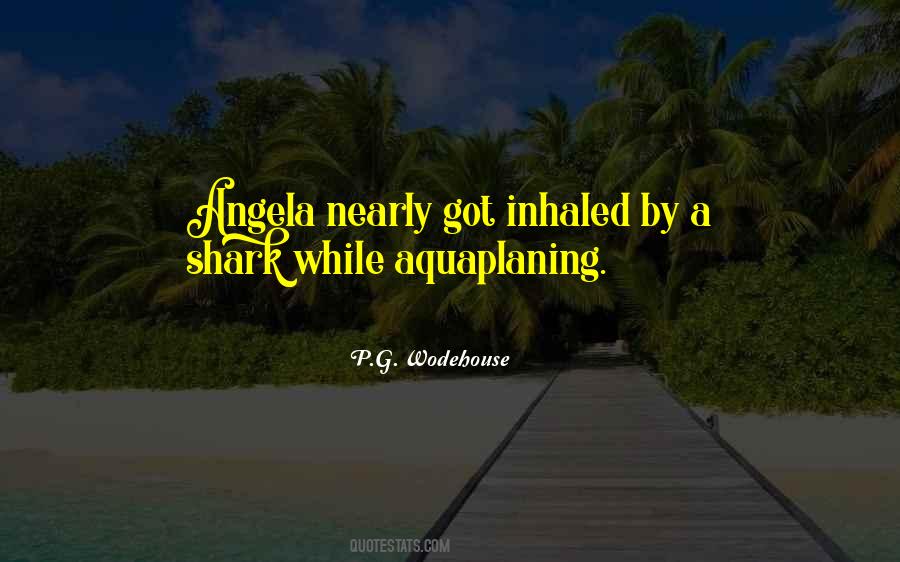 Aquaplaning Quotes #356321