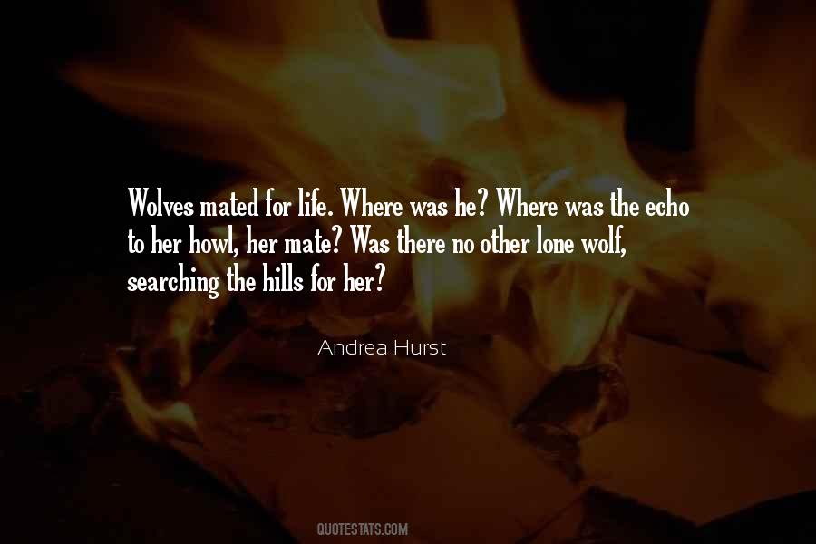 Quotes About Soul Mates True Love #1031026