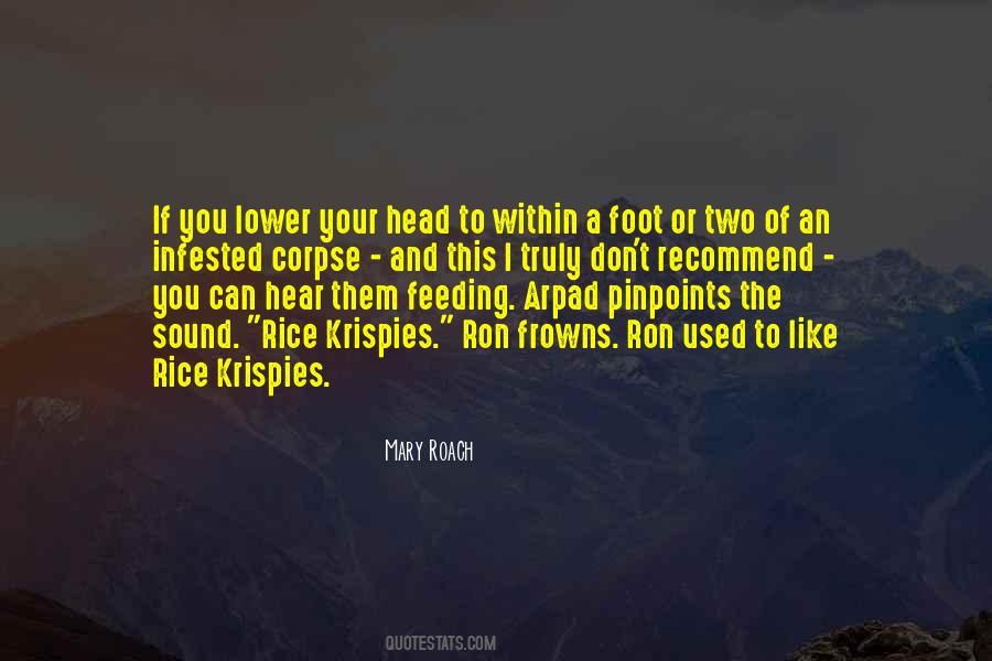 Arpad Quotes #971332