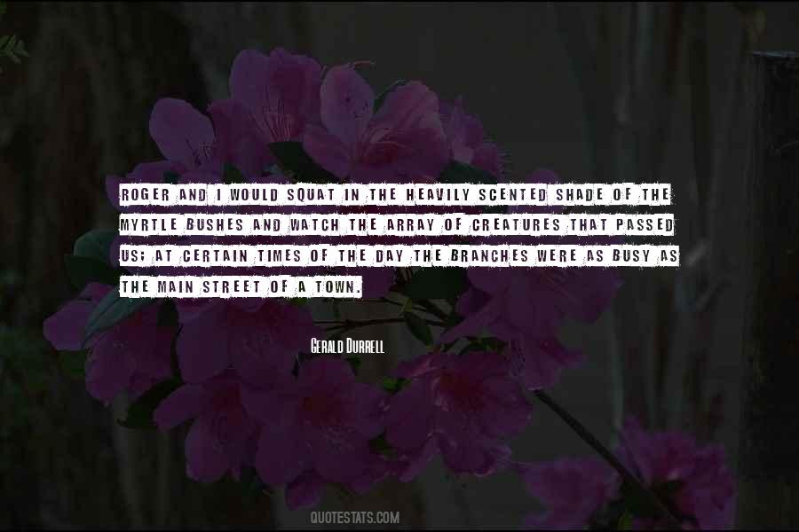 Array Quotes #1505972