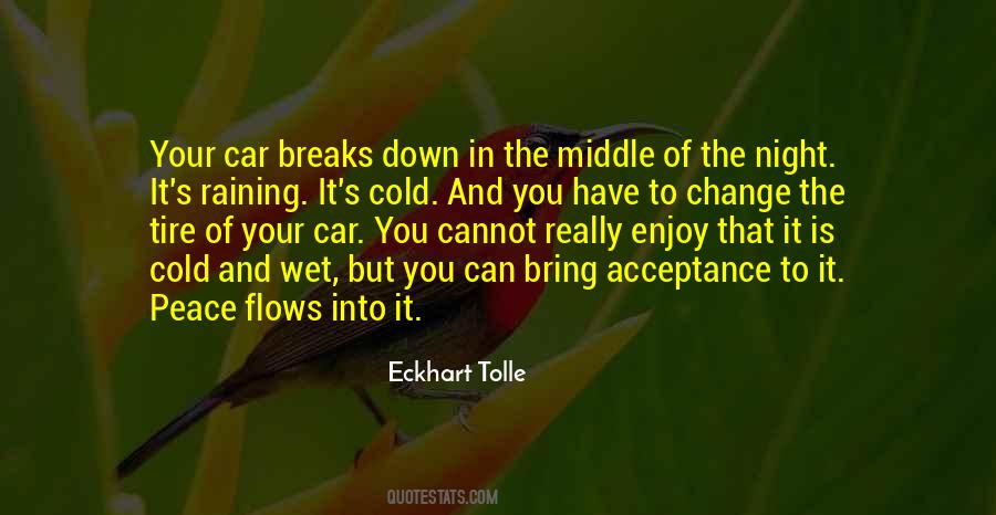 Quotes About Acceptance Of Change #398604