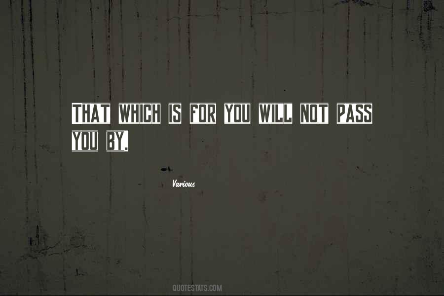 Assassinator Quotes #1366136
