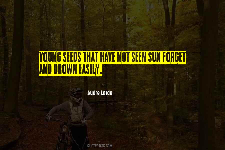 Audre Quotes #253415