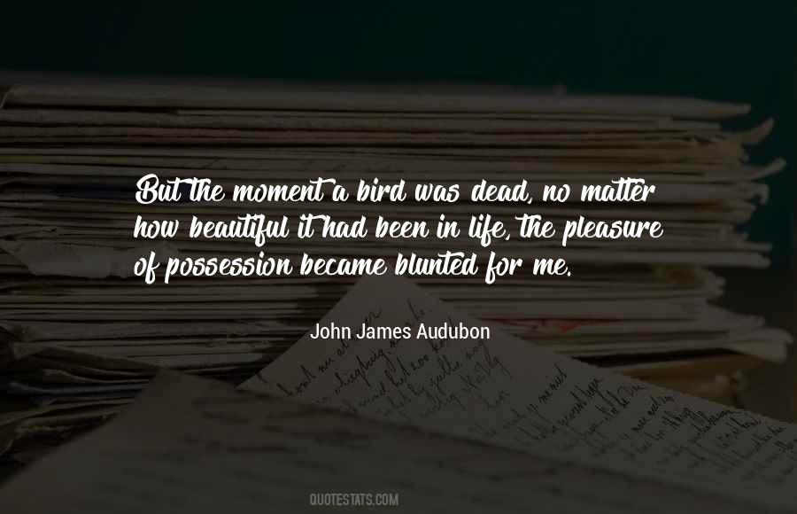 Audubon's Quotes #1743302