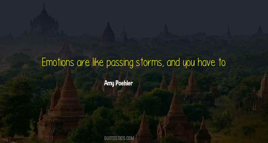 Quotes About Rain Storms #14848