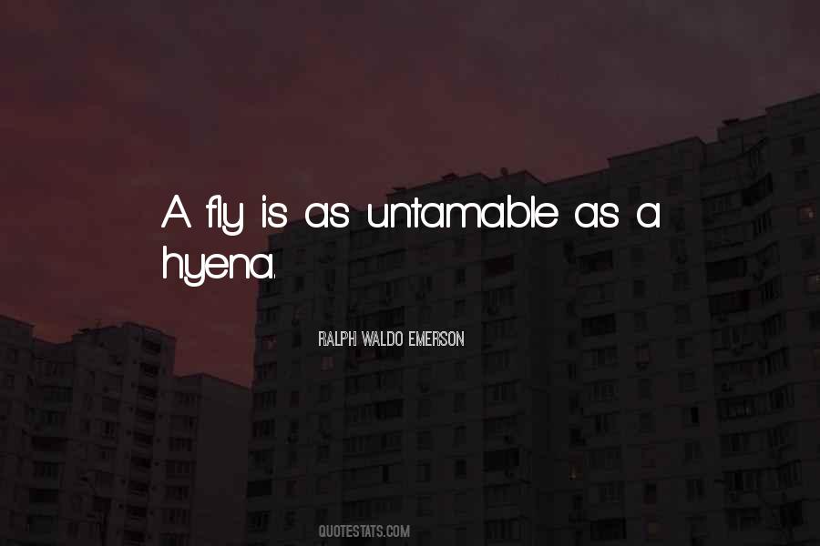 Ayacucho Quotes #1063863