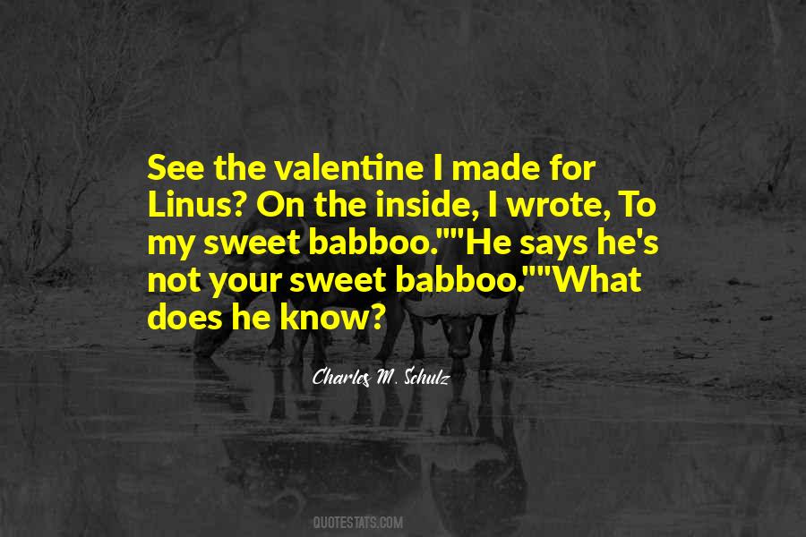 Babboo Quotes #526132