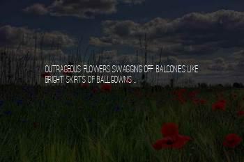 Ballgowns Quotes