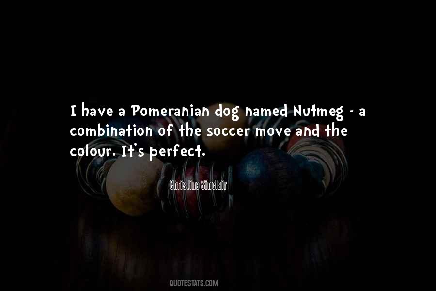 Quotes About Pomeranian #208962