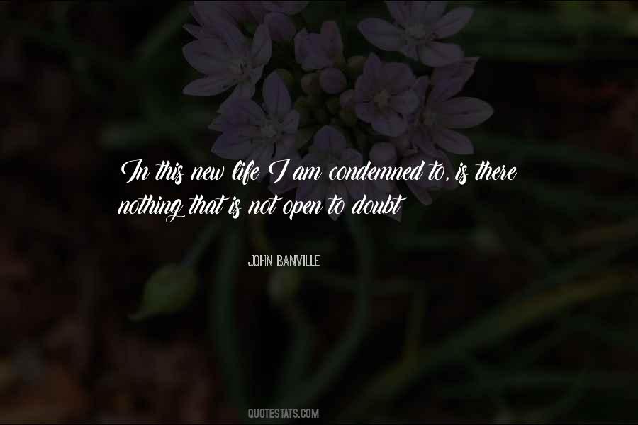 Banville Quotes #132636