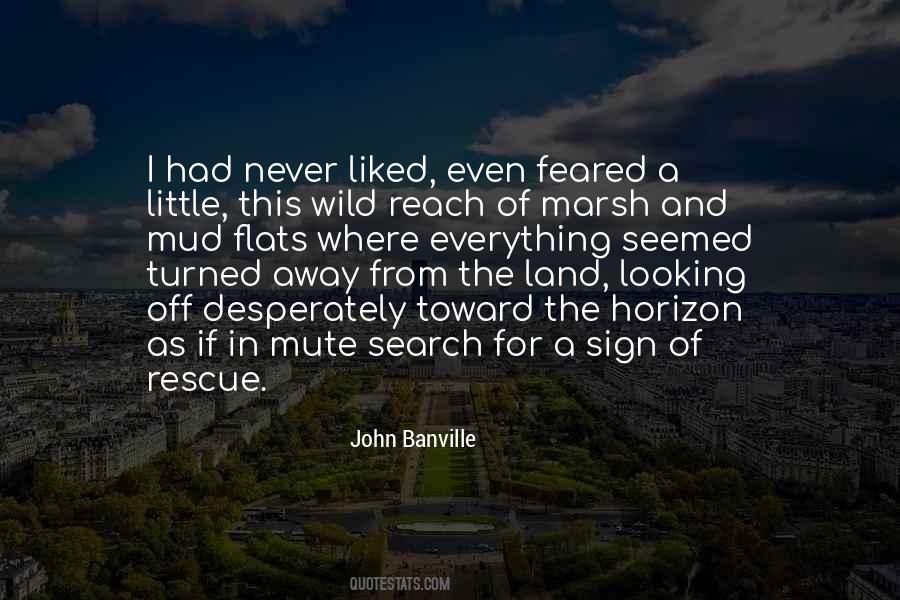 Banville Quotes #389154