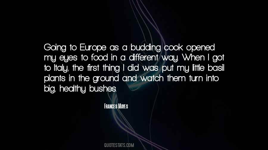 Basil's Quotes #177553