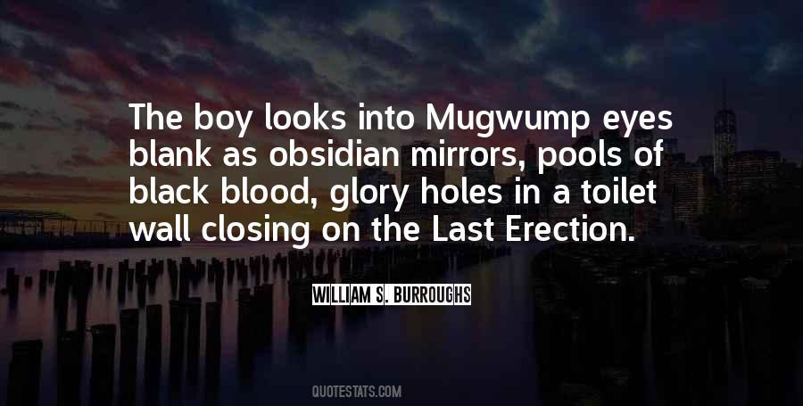 Quotes About Mirrors And Eyes #485344