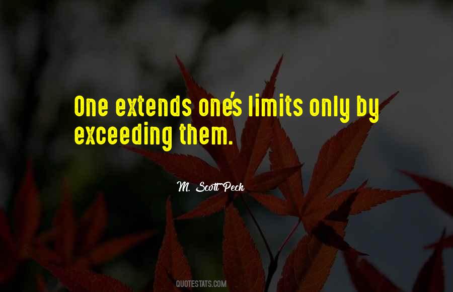 Quotes About Exceeding Limits #1553247