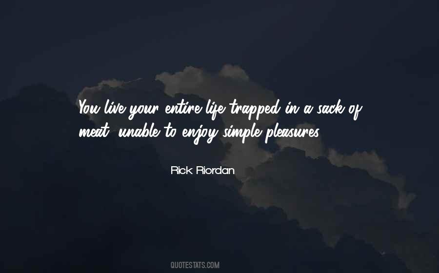 Quotes About Simple Pleasures In Life #1647914