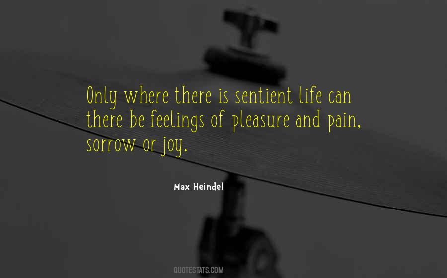 Quotes About Sorrow And Pain #166937