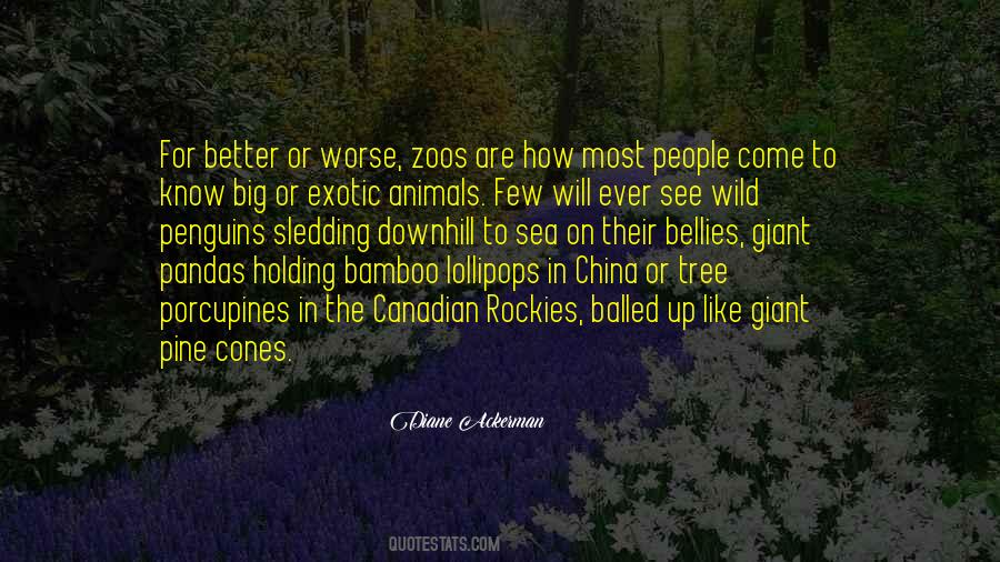 Quotes About Animals And Zoos #1851568