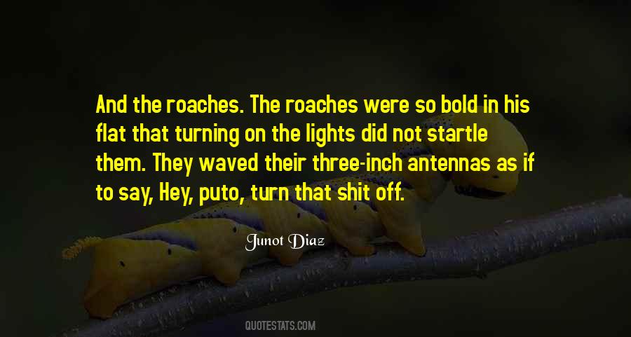 Quotes About Roaches #1122614