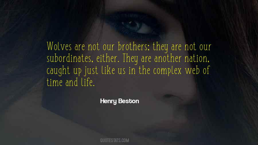 Beston Quotes #574218