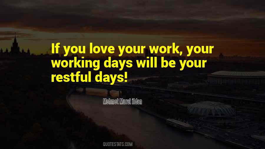 Quotes About Love Your Work #1546140