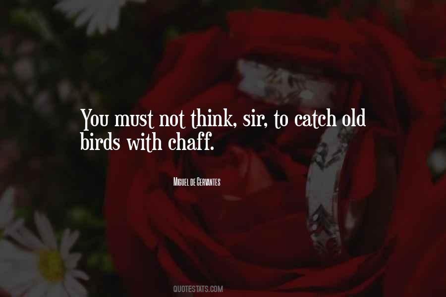 Biovex Quotes #709075