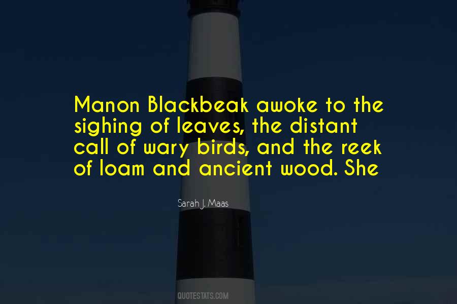Blackbeak Quotes #886890