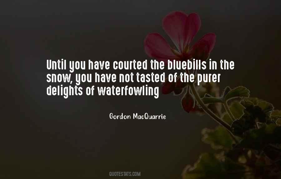 Bluebills Quotes #1768377